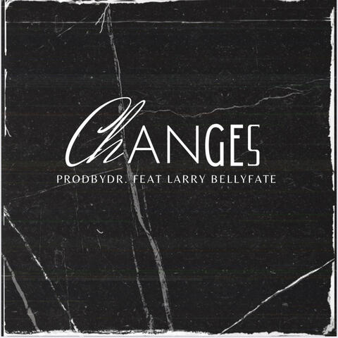 Changes (feat. Larry Bellyfate)
