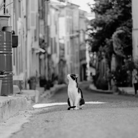 Time Alone III