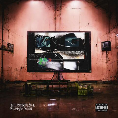 Flat Screen