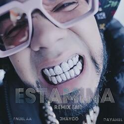 ESTAMINA (feat. Jhaycoo & Anueel AA)