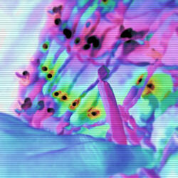 Doing Dirty (feat. Gorilla Smooth)