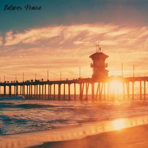 Huntington Beach Waves