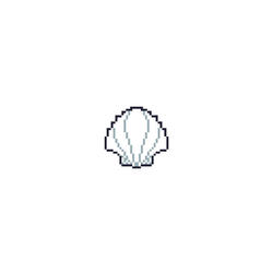 Seashells