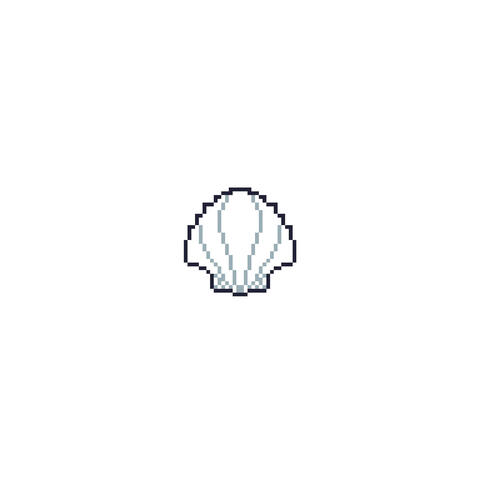 Seashells