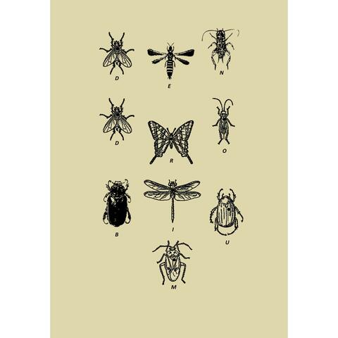 insects and animals