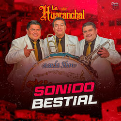 Sonido Bestial
