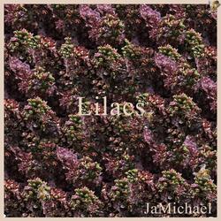 Lilacs