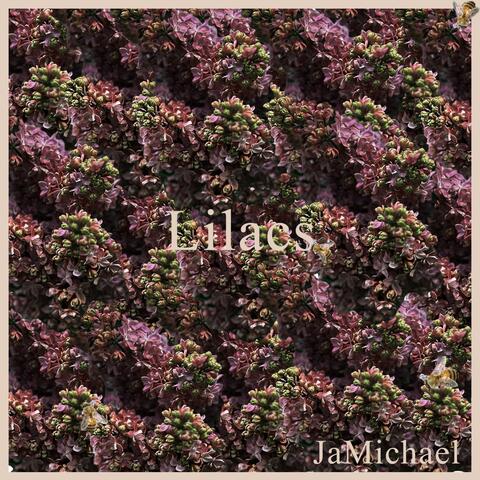 Lilacs