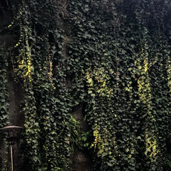 Happy Birthday//Stuck In Time