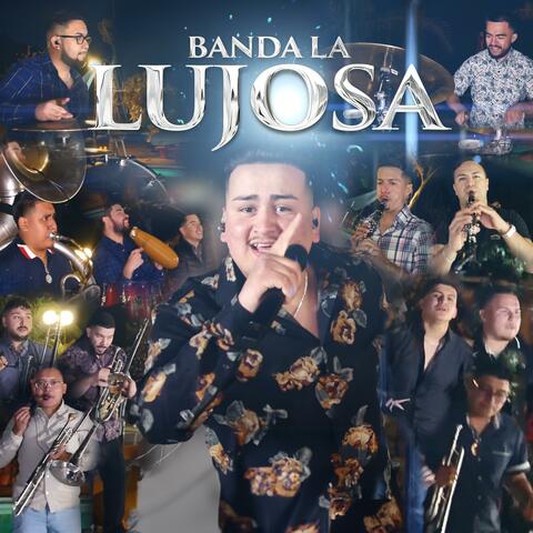 Primer Aniversario