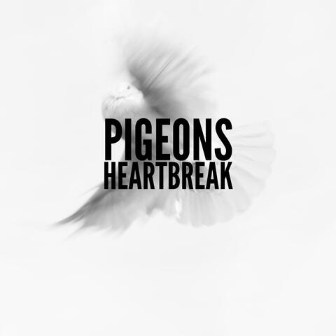 Pigeon's Heartbreak (feat. Onchibaby)