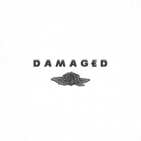 DAMAGED