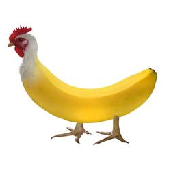 Chickenbanana song! | Funny songs! Crazy Songs!