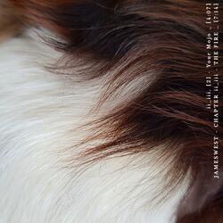 Your Mojo (feat. Kaisee)