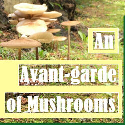 An Avant-garde of Mushrooms