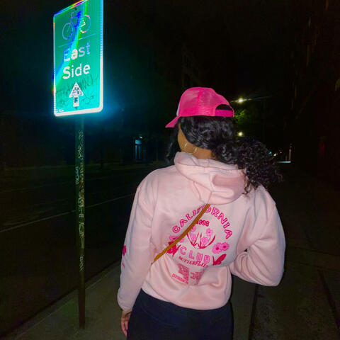 Blinkers