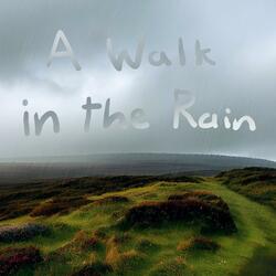 A Walk in the Rain