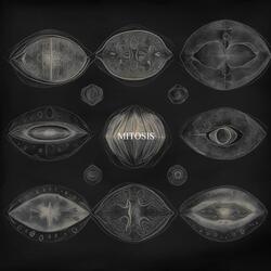 Mitosis