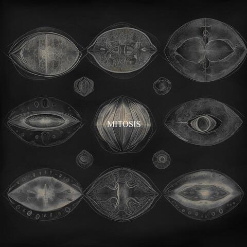 Mitosis