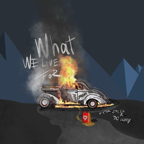 What We Live For (feat. DJ Harry)