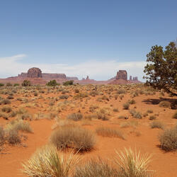 My BB comes to bossa