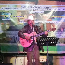 Country Folk Rock and Roll