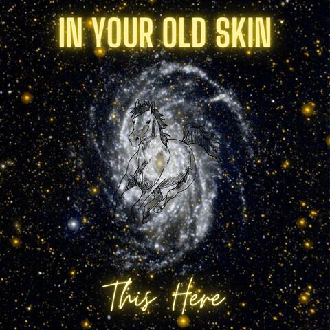 In Your Old Skin