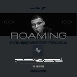 Roaming