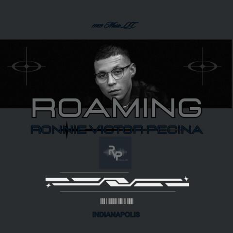 Roaming