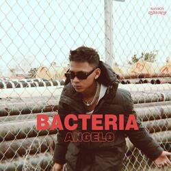 BACTERIA (បាក់តេរី)