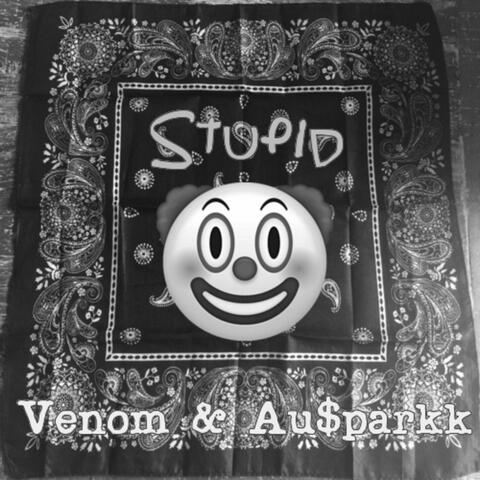 Stupid (feat. Au$parkk)