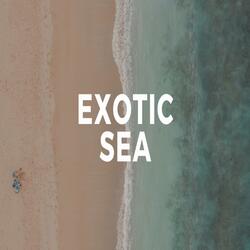 Exotic Sea