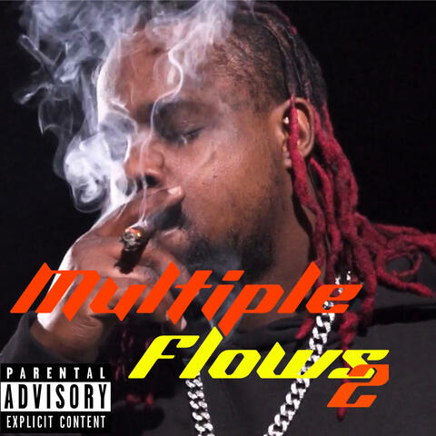 Multipule Flows 2