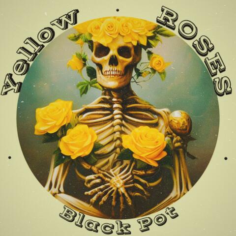 Yellow Roses