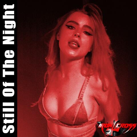 Still Of The Night