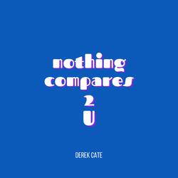 Nothing compares 2 u