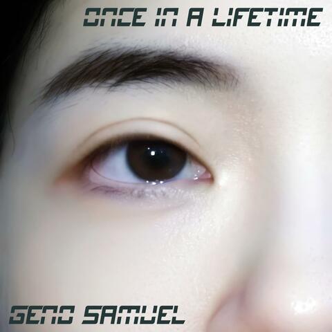 Once in a Lifetime