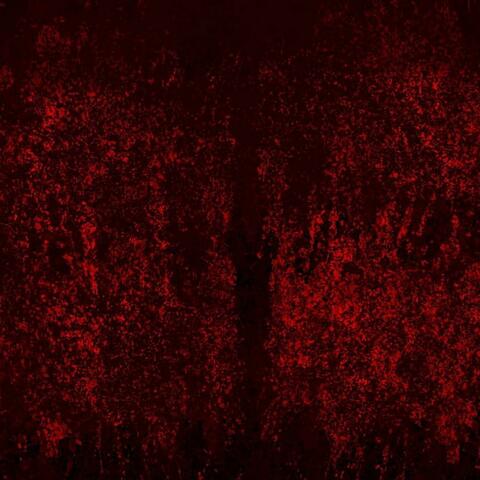 Shadow