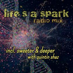 Lifes a Spark