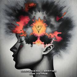 Harmonizing Vibration