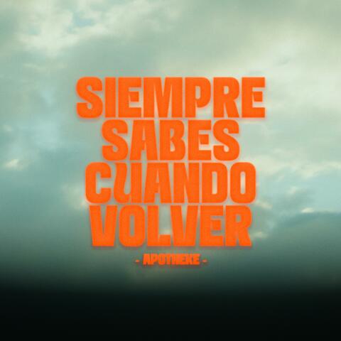 Siempre sabes cuando volver