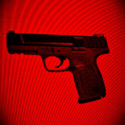 He Brought A Gun To School