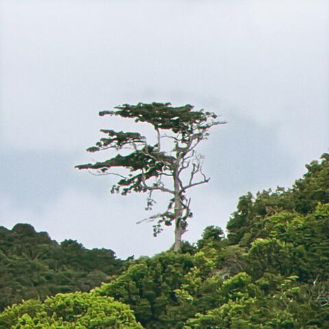 won't you think about someone else?