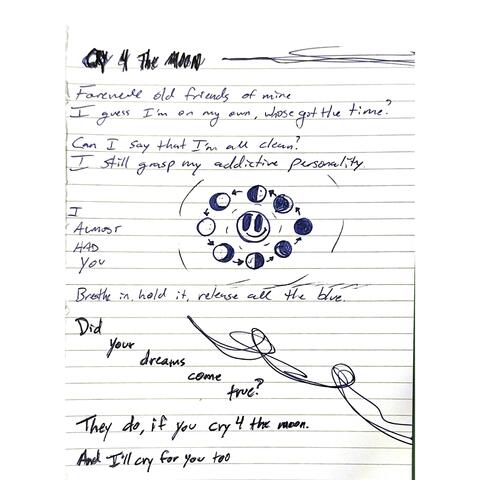 CRY 4 THE MOON