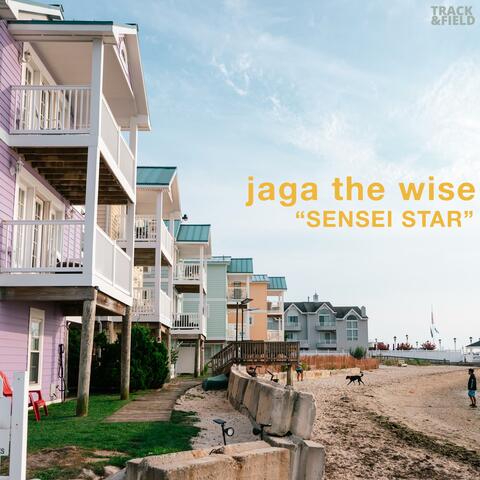 Sensei Star