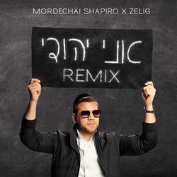 Ani Yehudi (feat. ZELIG)