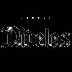 Niveles