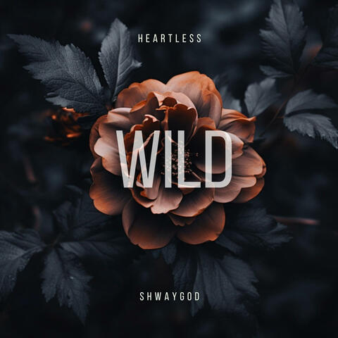 Wild (feat. Heartless)