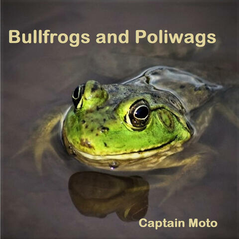 Bullfrogs And Poliwags