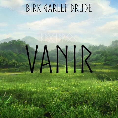 Vanir (another piece of Ragnar​ǫ​k)